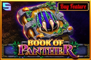 Арт слота Book of Panther